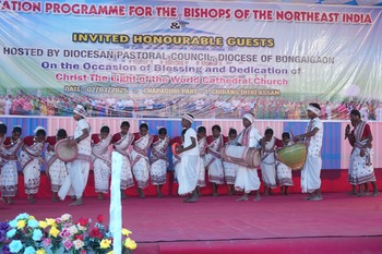 Bongaion Diocese