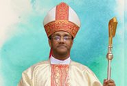 Diocese Logo
